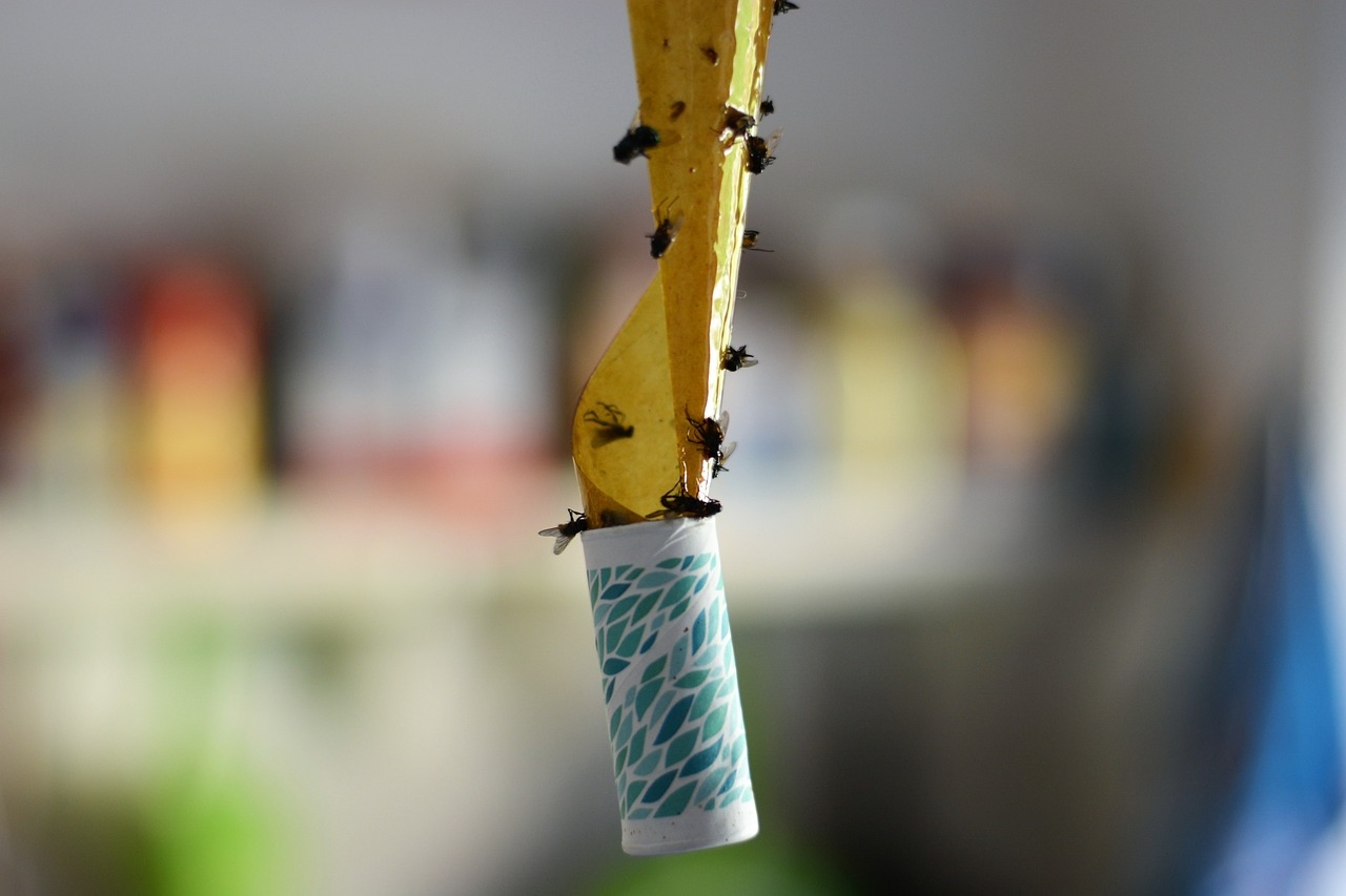 klej entomologiczny sumin